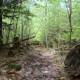 Trail up Five Mile Mt. Pt.