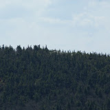 Top of Porter Mountain