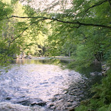DSC04836.JPG