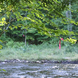 DSC04847.JPG