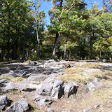 DSC05162.JPG
