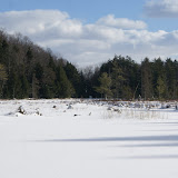 DSC08462.JPG