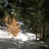 DSC08495.JPG