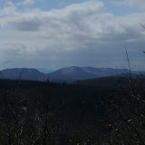 DSC08562.JPG
