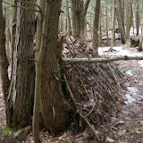 DSC08542.JPG