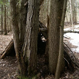 DSC08544.JPG