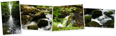 View Water flow