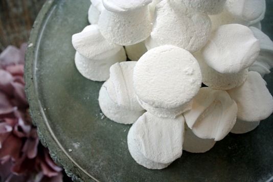 Hot_Chocolate_on_a_Stick_104[5]--