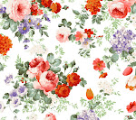 Patterns_33562327.jpg