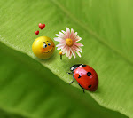 When a pea loves a ladybug_33566692.jpg