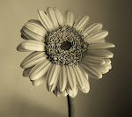 Retro sunflower_33566688.jpg