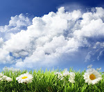 flowers_33555211.jpg