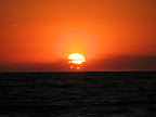 IMG_3306.JPG