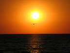 IMG_3423.JPG