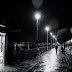 4068442377_0d012eb419_b.jpg