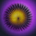 humpback-purple_1529861i.jpg