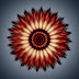 minke-red_1529898i.jpg