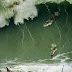 Illustrations-by-Steve-McGhee-16.jpg