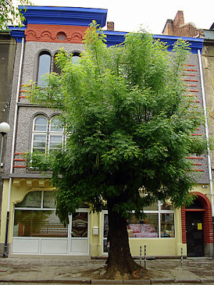 sofia old buildings