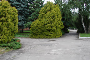 21.06.2009 - Березно2009
