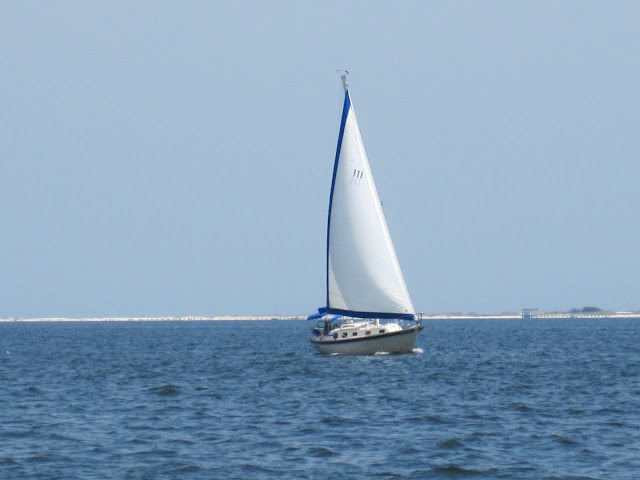 sailing