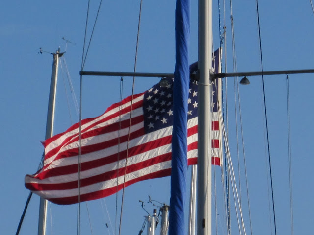 United State of America - flag