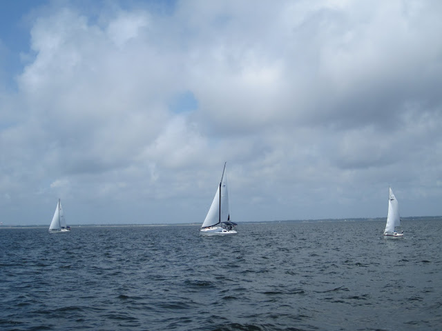 BEER 2010 Cruisers