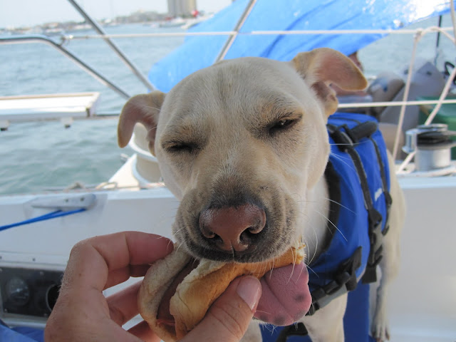 hotdog