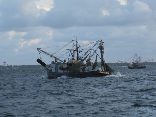 fishing