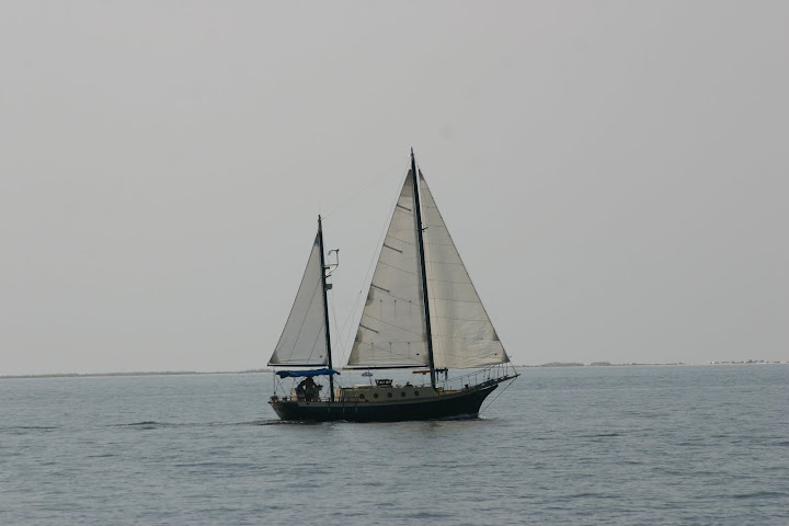 Blue Ocean