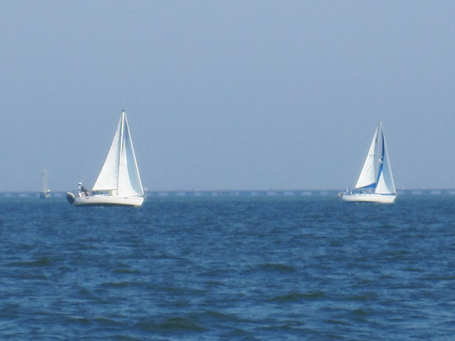 boats