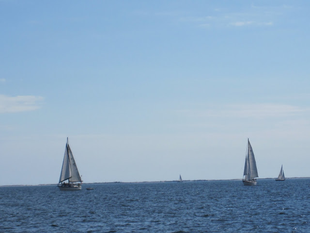 boats