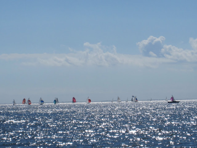 sailboats