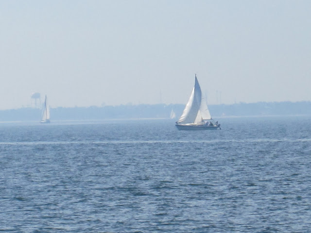 sailing