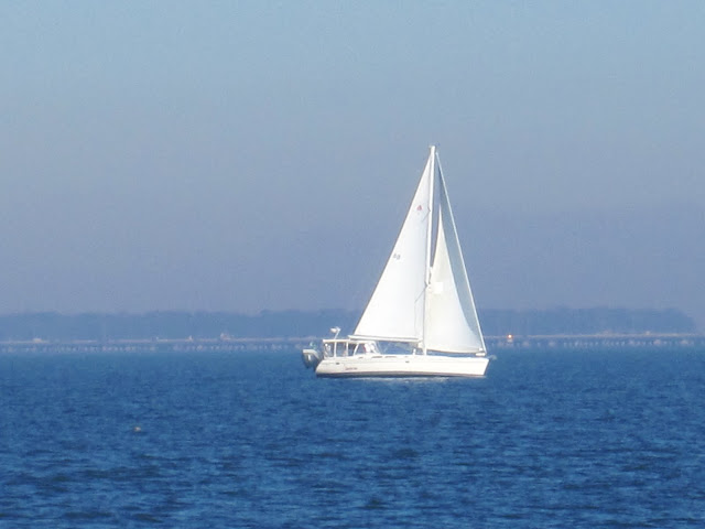 sail