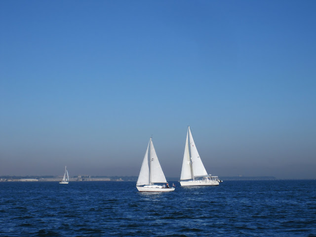 boats