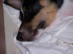 100_1638.JPG