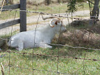 100_0440.JPG