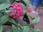 Costa Rica, Spring Break, 2007 389.jpg