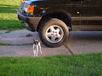 S6300217.JPG