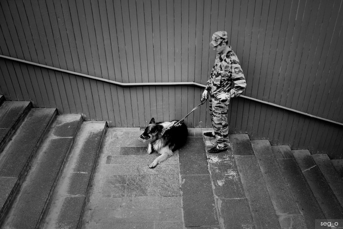 Митинг-концерт в защиту Химкинского леса