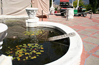 IMG_0342.JPG
