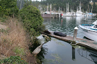 IMG_0117.JPG
