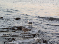 P9150014.JPG