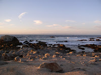 P1010022.JPG