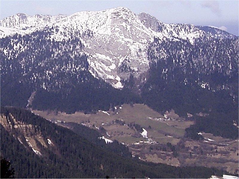 Image2.jpg