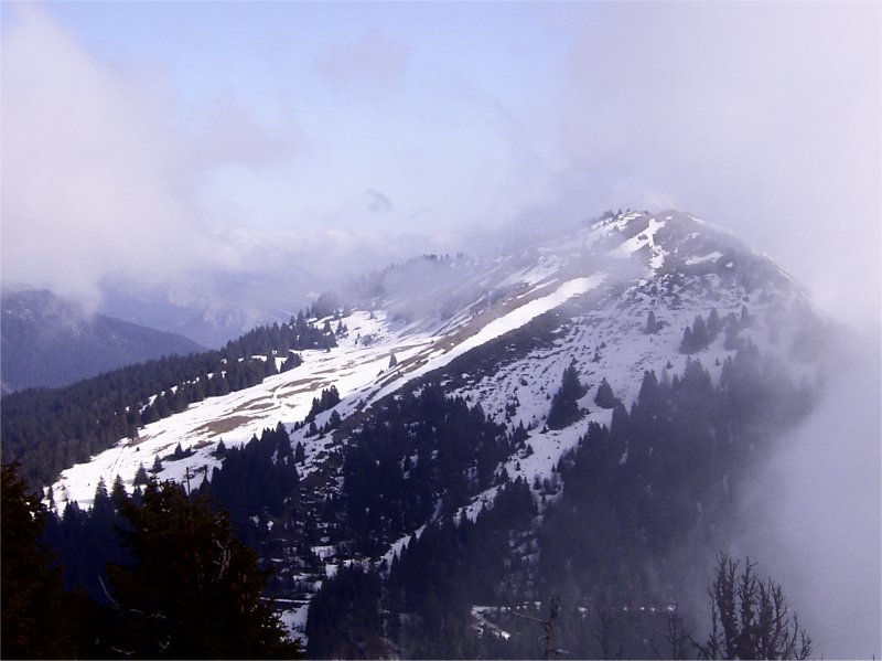 Image3.jpg