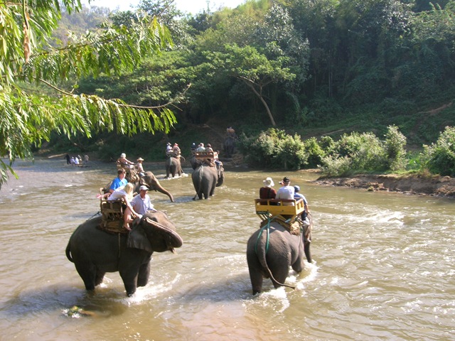 [Elephants River[2].jpg]