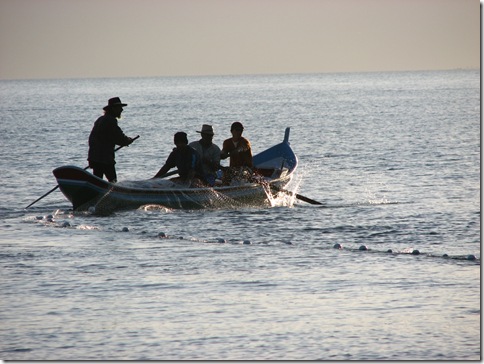 IMG_5140 IMG_5140