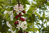 P1100590.JPG